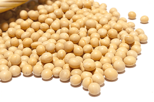Kinako (Roasted Soy Bean Flour)