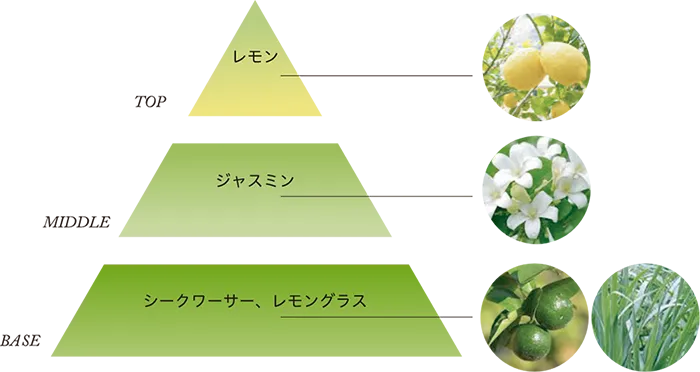 TOP：レモン／MIDDLE：ジャスミン／BASE：シークワーサー、レモングラス