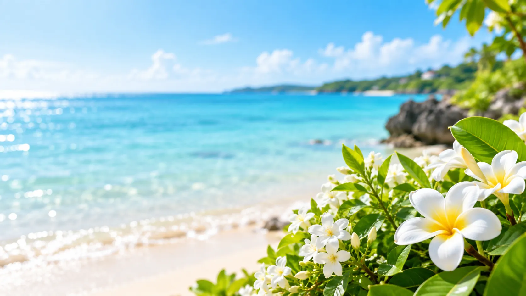 沖縄の海と白いジャスミンの花